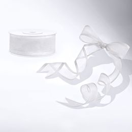 Diaesitys - Valkoinen Sifonkinauha