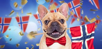 norske flagg