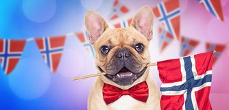norske flagg